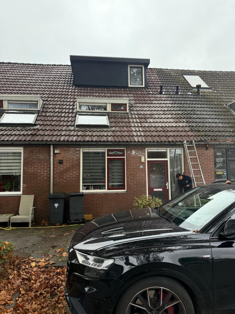 dakreiniging