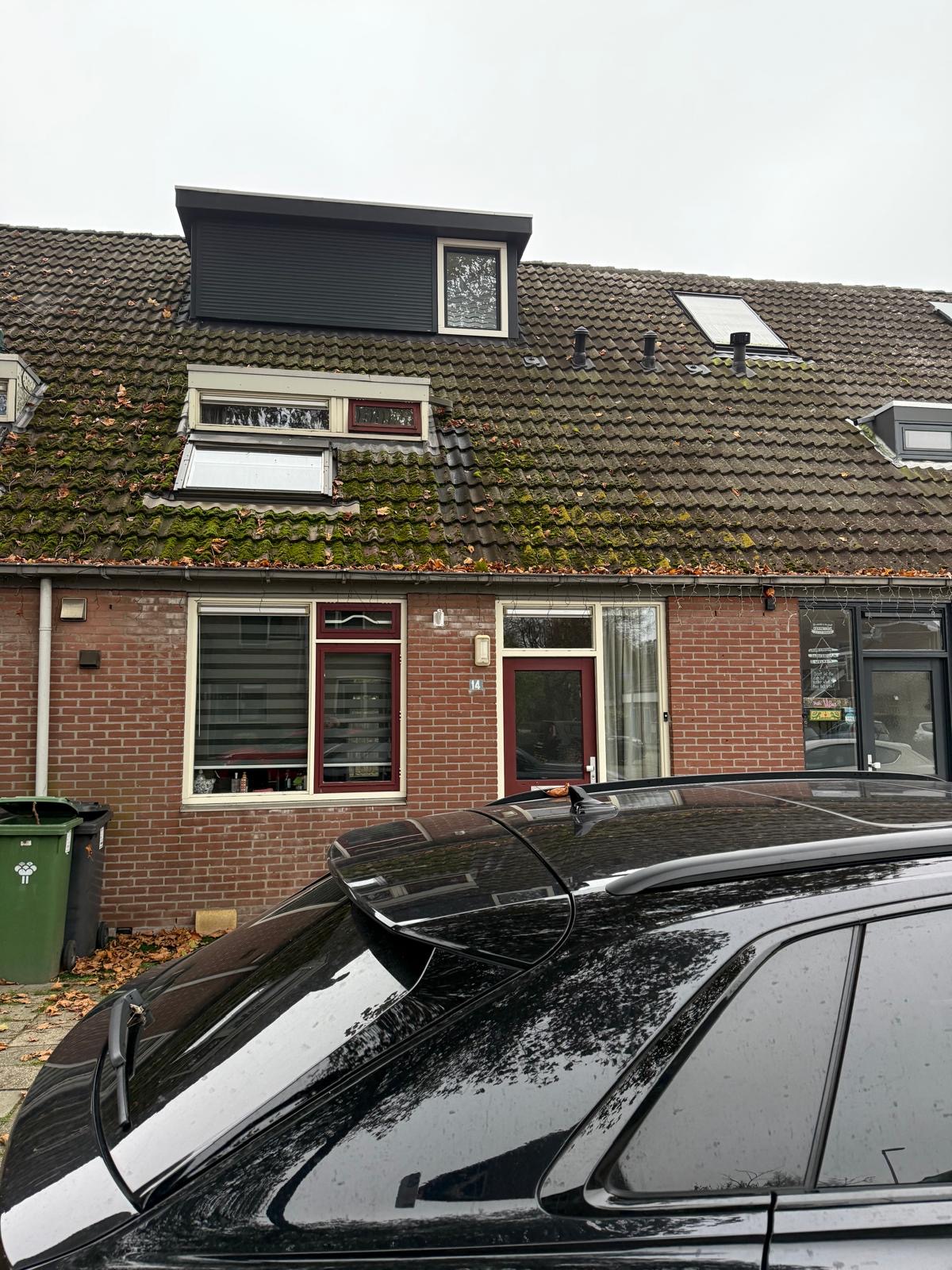 voor dakreiniging